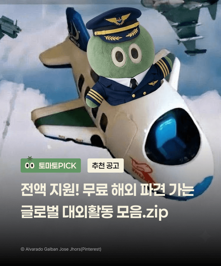전액 지원! 무료 해외 파견 가는 글로벌 대외활동 모음.zip