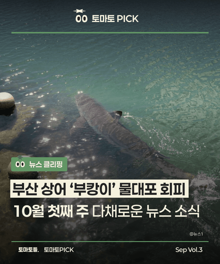 부산 상어 '부캉이' 물대포 회피 | 10월 첫째 주 다채로운 뉴스 소식 | 뉴스 클리핑